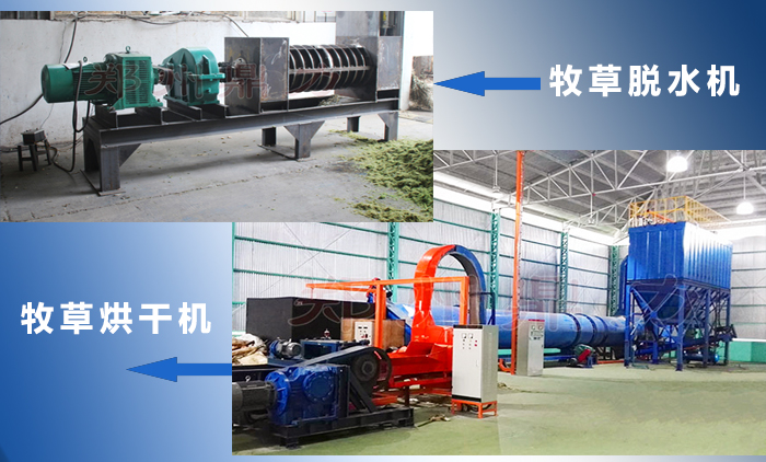 共薦珍課頚哩堺孤CD頭式珍課邦CD頭